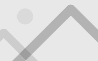 Vivamus leo turpis, efficitur a dapibus congue